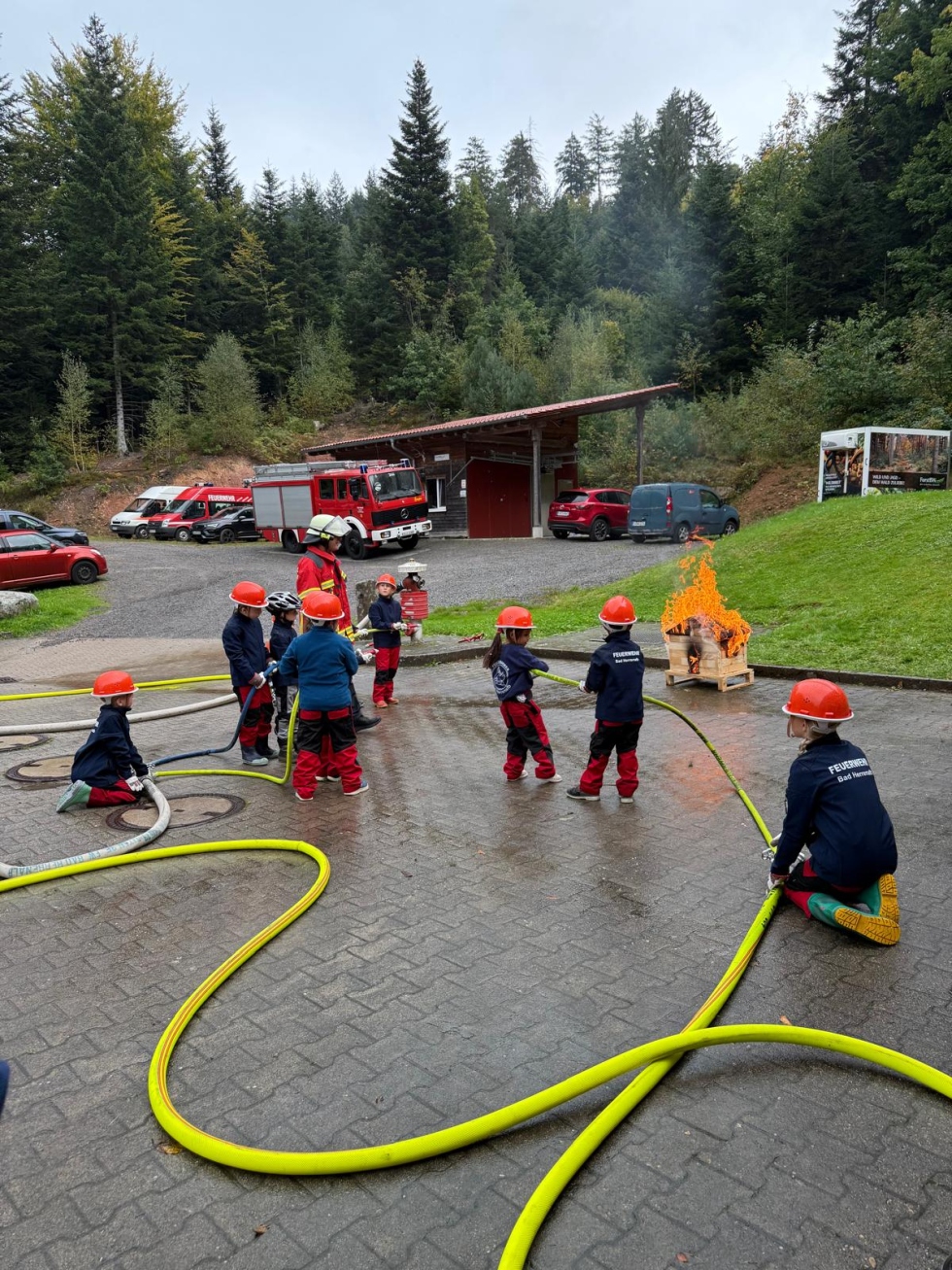 Feuerdrachen (Abteilung Stadt)